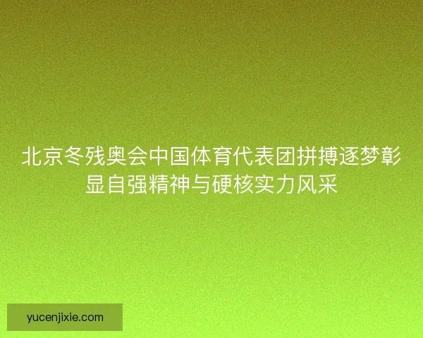 北京冬残奥会中国体育代表团拼搏逐梦彰显自强精神与硬核实力风采
