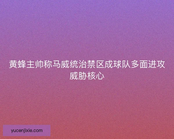 黄蜂主帅称马威统治禁区成球队多面进攻威胁核心 黄蜂主帅称马威统治禁区成球队多面进攻威胁核心